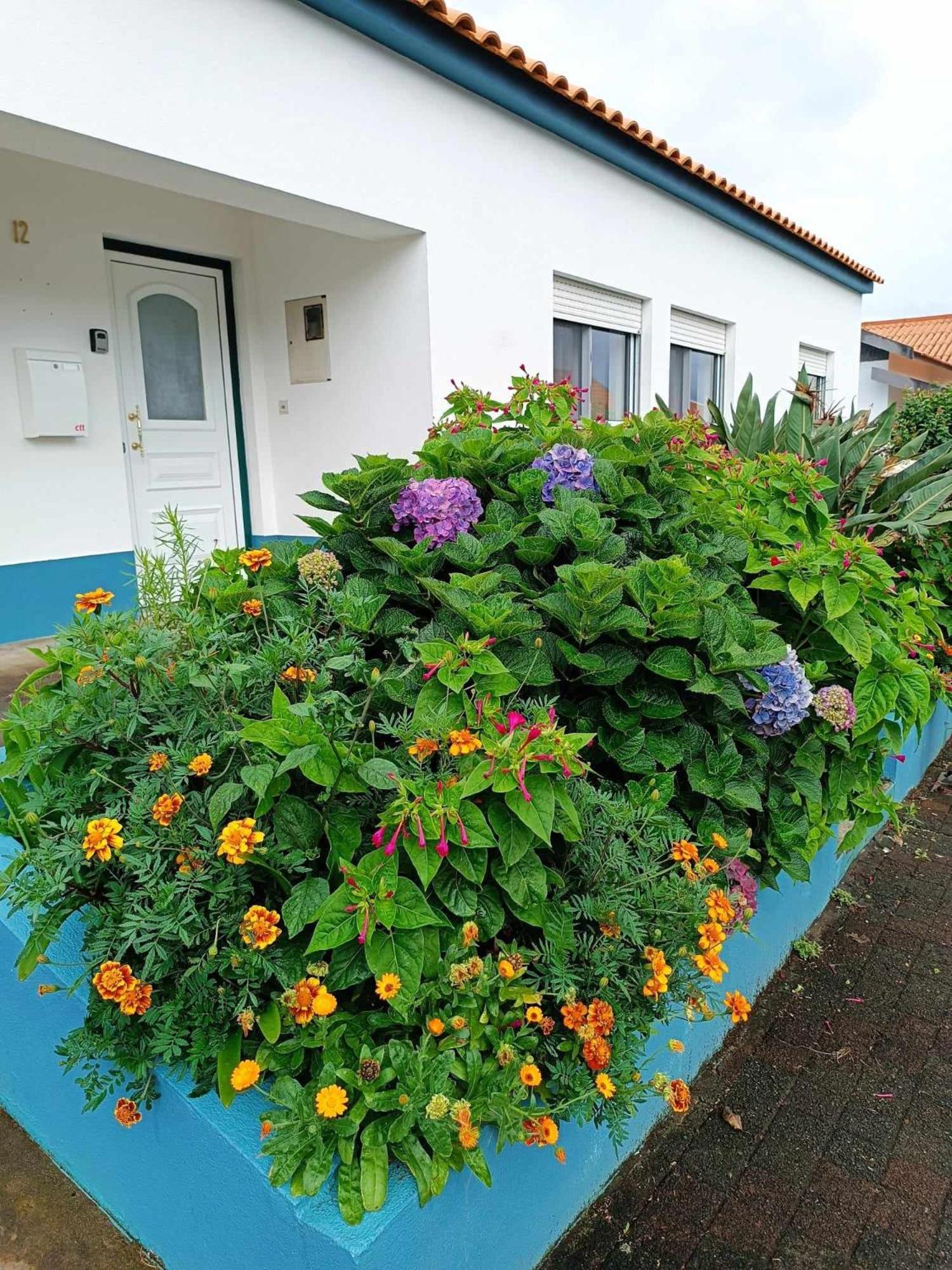 Apartamento Da Matilde Santa Cruz das Flores Exteriör bild